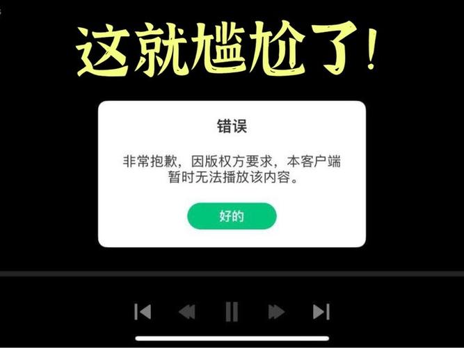视频由于格式版权限制