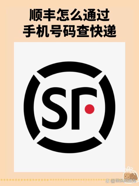 只有运单号怎么查寄件人电话截图2