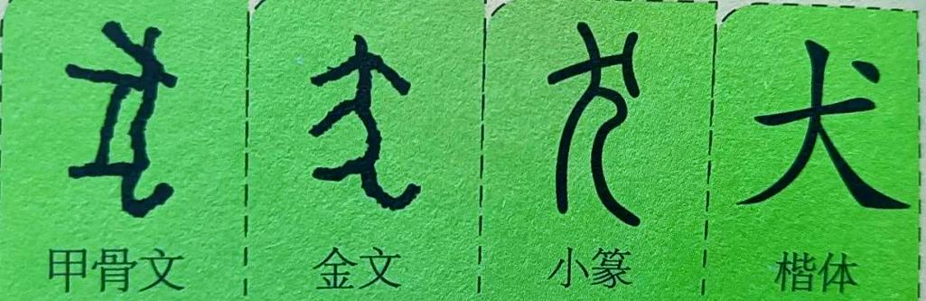 中国汉字魅力