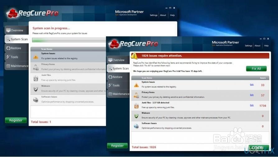 RegCure Pro