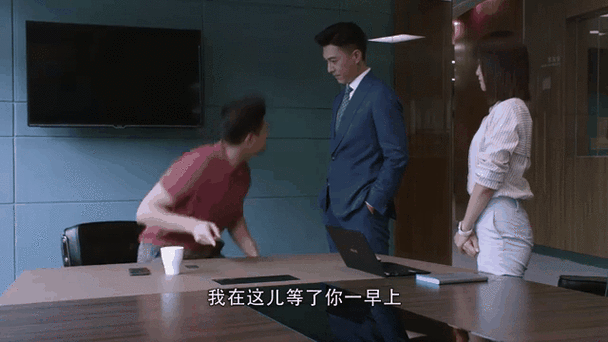 精英律师小说结局截图2