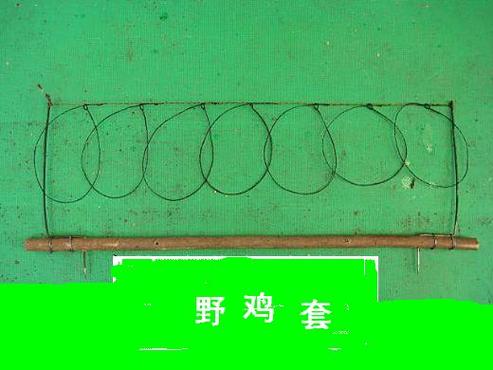 捕野鸡神器大全