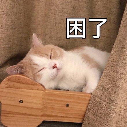 困死了想睡觉图片 可爱
