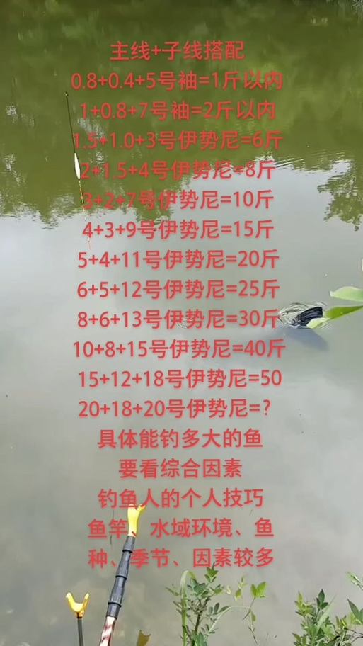 5.0主线3.0子线能钓多大鱼