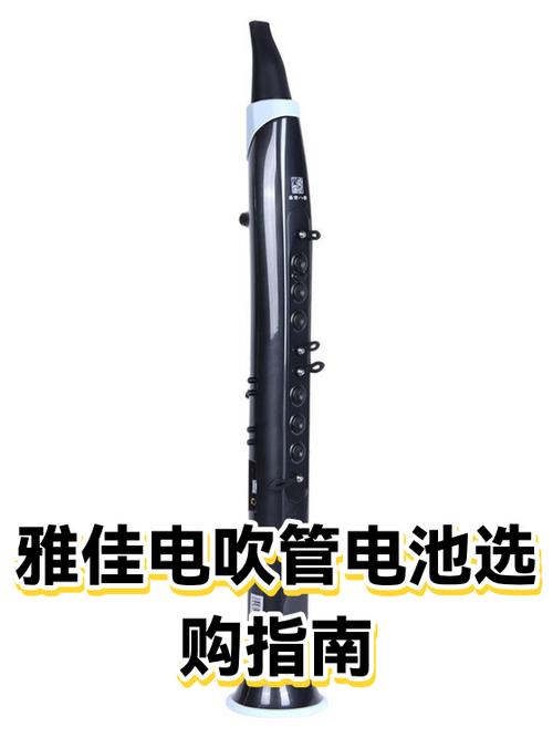 电吹管那个品牌最好