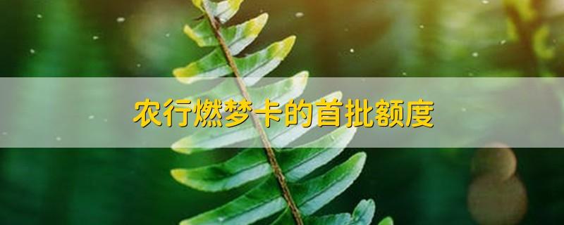 农行燃梦信用卡好批吗