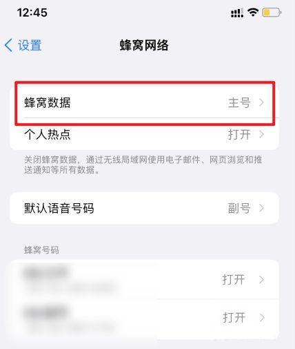 苹果13怎么打开流量数据