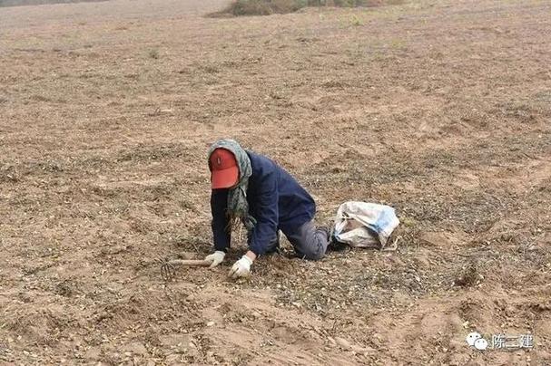 村民不捡食物怎么办