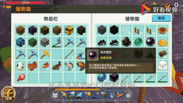 代码查询器迷你世界