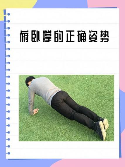 平板俯卧撑正确做法截图2