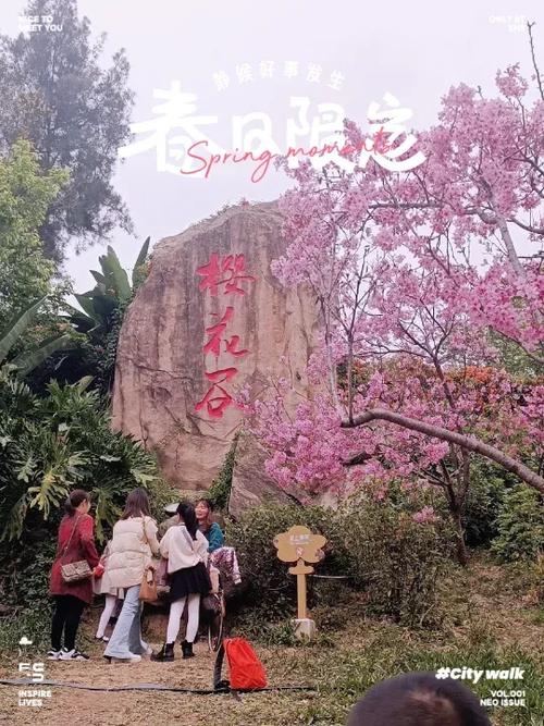 清远樱花谷在哪里截图3