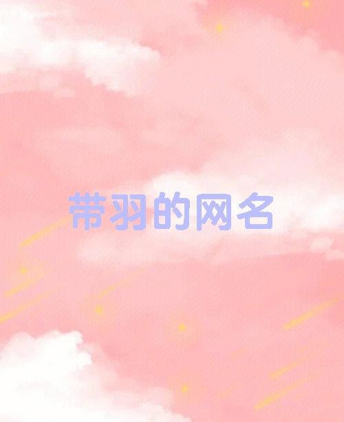 羽毛球的网名