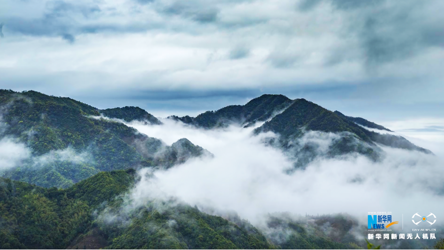 翻雨覆雨共赴巫山