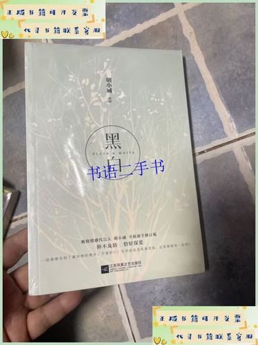 黑白 小说 朝小诚