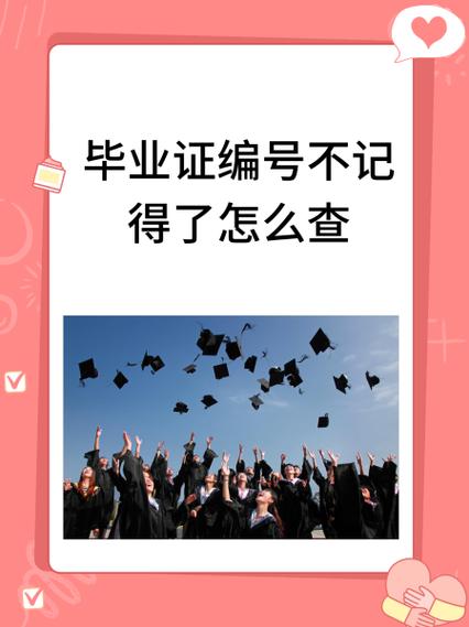 学信网原手机号码忘了