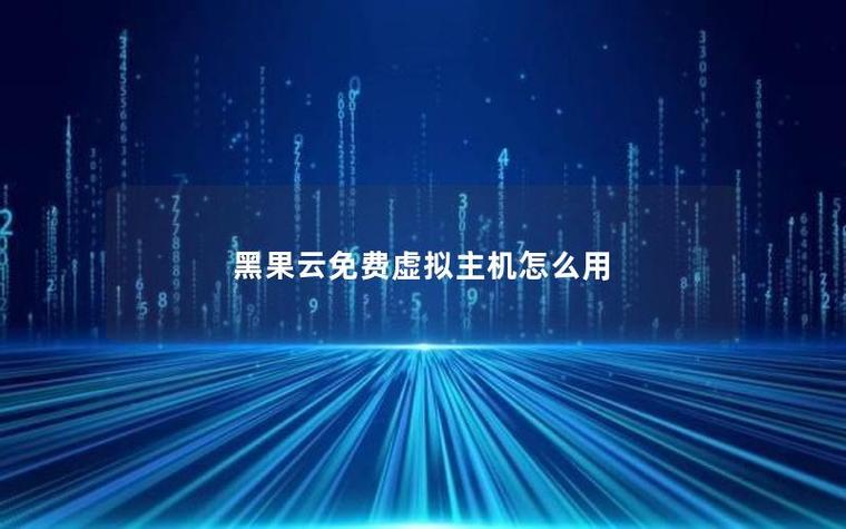 黑果云官网