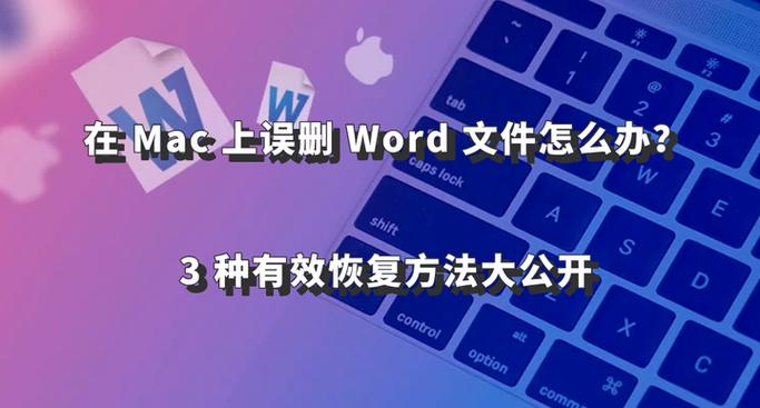 mac破解版word