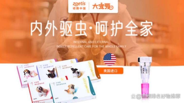 喜倍安好还是大宠爱好