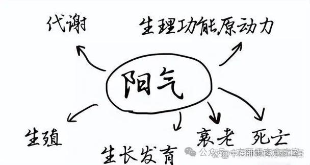女生是阴气还是阳气