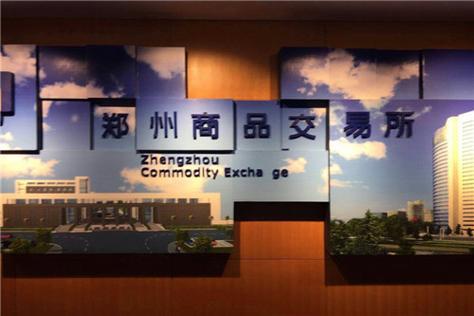 期货会员单位