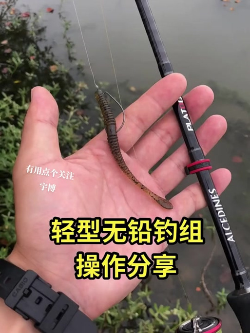 初学路亚钓鱼视频教学