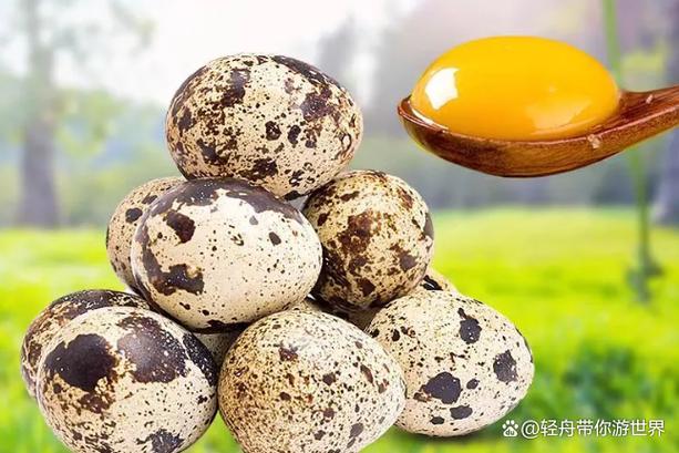 鹌鹑蛋对孕妇有好处吗
