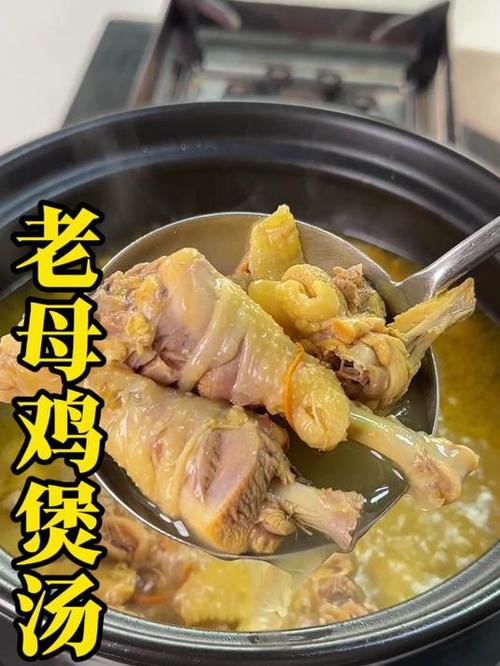 炖老母鸡最佳配方