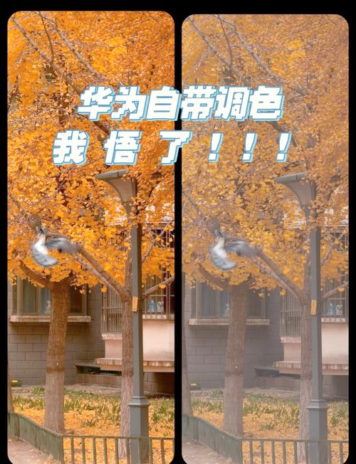 华为手机照片局部调亮