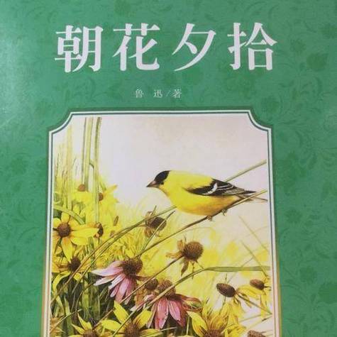 朝花夕拾什么意思和含义