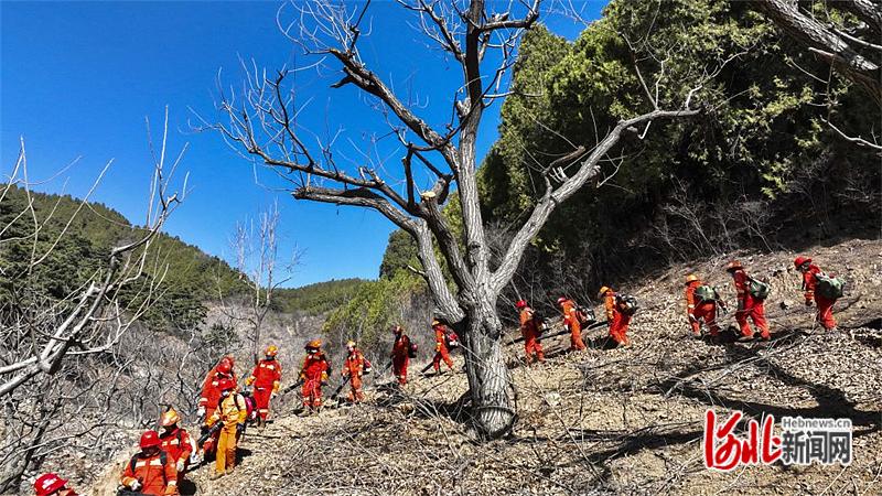 河北森林防火