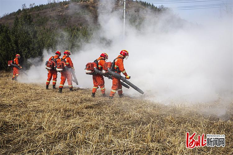 河北森林防火截图3