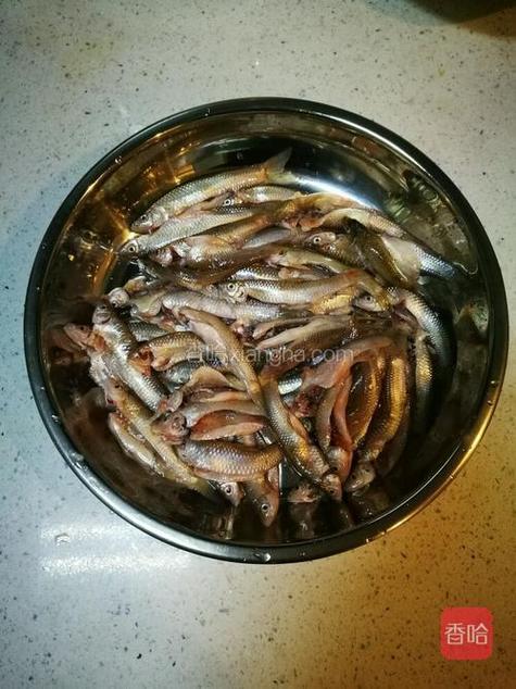 小鱼还用去鱼鳃吗