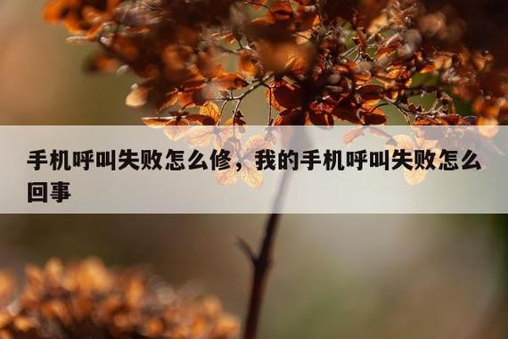 信号满格却呼叫失败