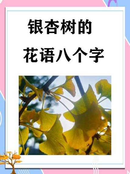 花语一句话