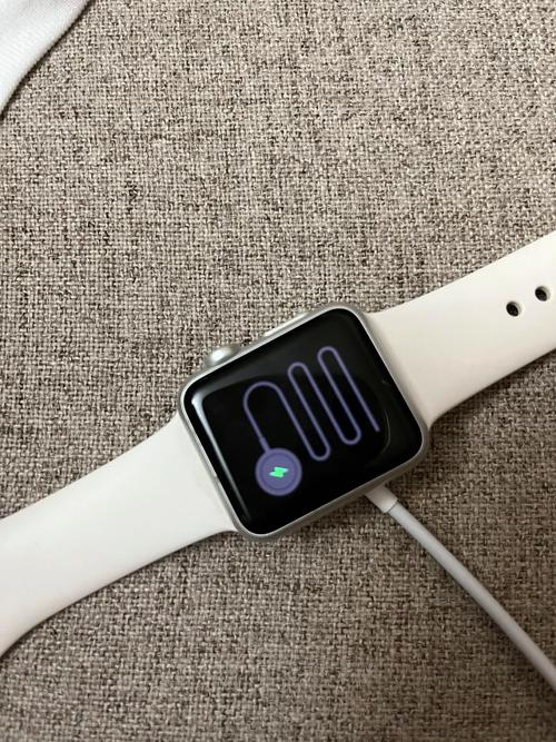 apple watch首次充电