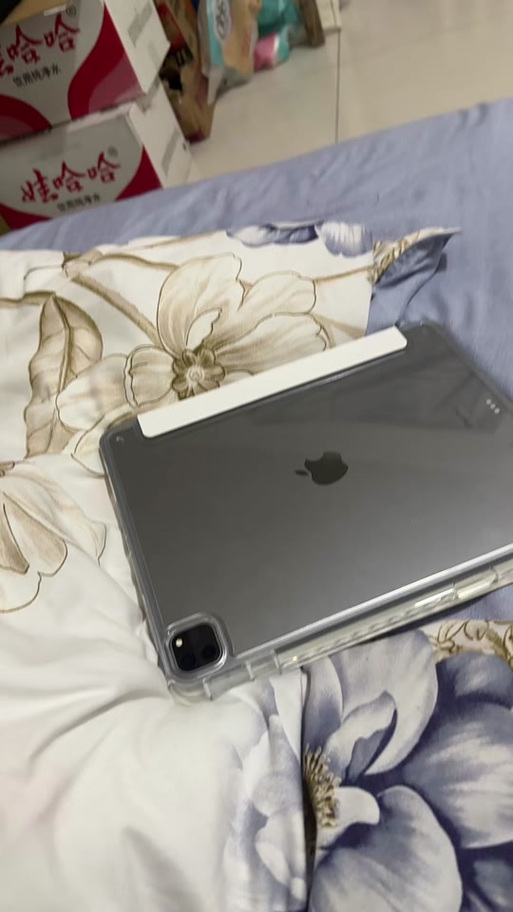 ipadpro闪退怎么回事