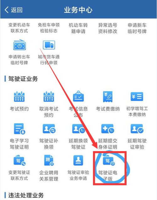 一键生成电子驾照
