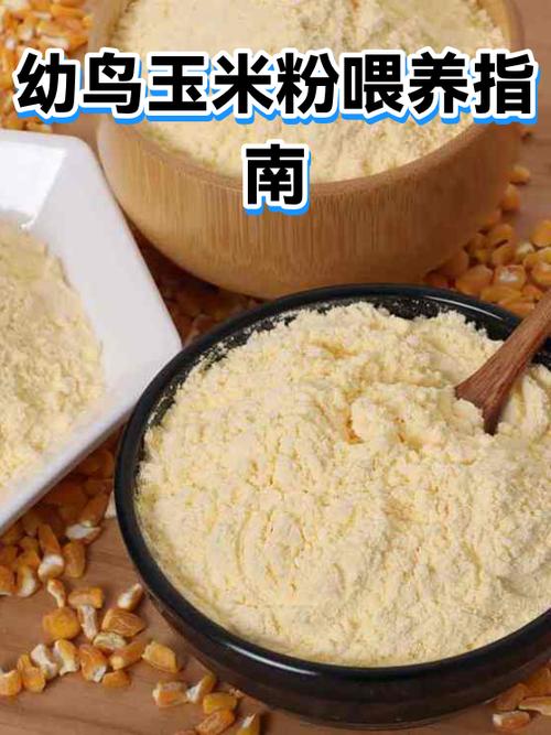 玉鸟雏鸟人工喂养方法