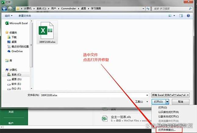 文件打开失败怎么恢复截图2