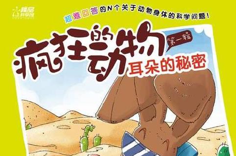 耳朵上的小耳朵叫什么