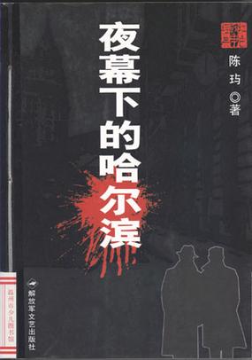 08版夜幕下的哈尔滨
