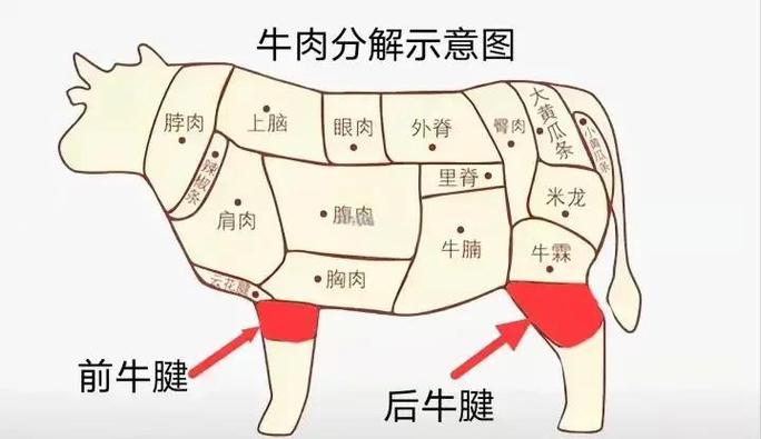 牛身上最好吃的肉是哪个部位