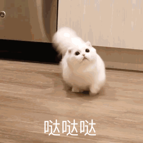 美哒哒图片表情