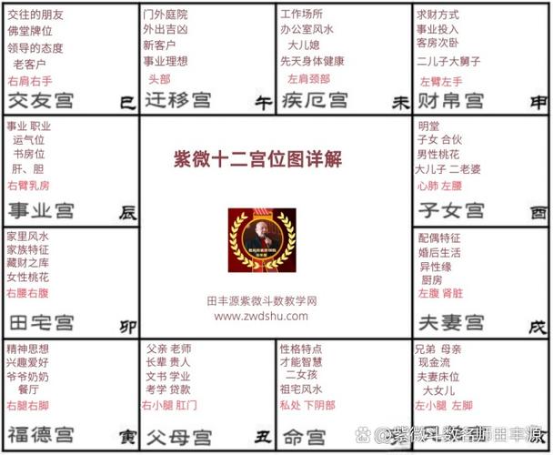 紫微斗数命盘免费排盘