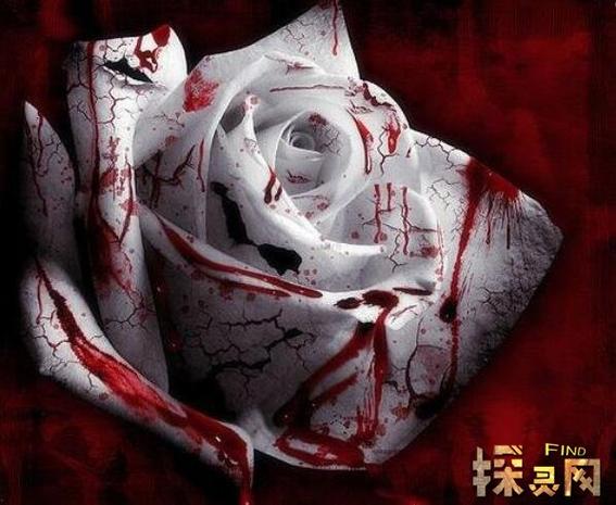 黑色星期五禁曲的故事