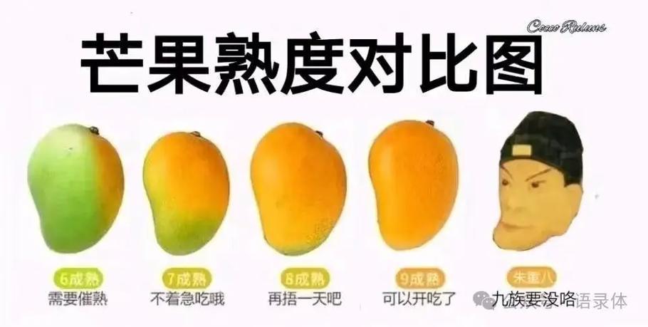 最近关于人物名字梗
