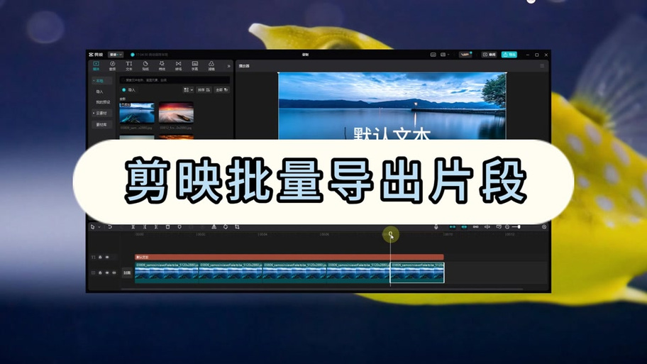 苹果电脑能装剪影吗