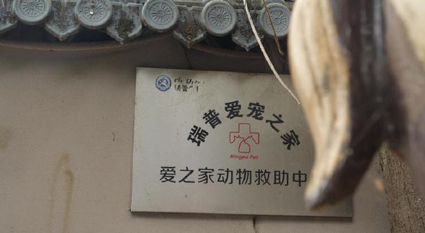 宠物收养救助站