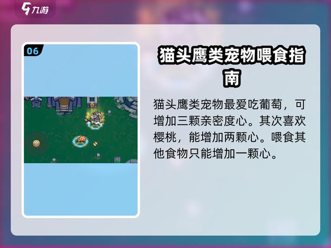 元气骑士宠物吃什么