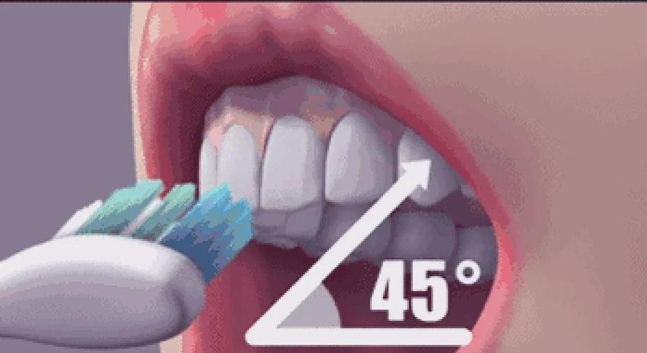 正确的刷牙视频 教学视频